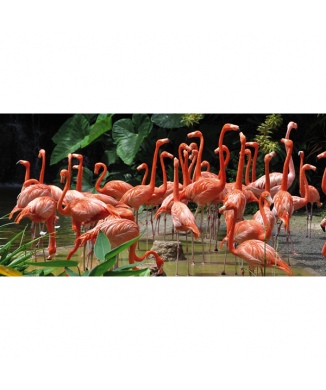 Cadre FLAMINGOS G1538 PINTDECOR