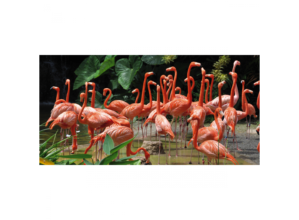 Cadre FLAMINGOS G1538 PINTDECOR