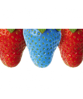 Tableau SCHTROUMPF FRAISE G1878 PINTDECOR