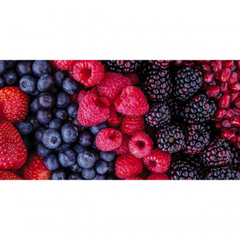 Cadre BAIES SAUVAGES G1870 PINTDECOR