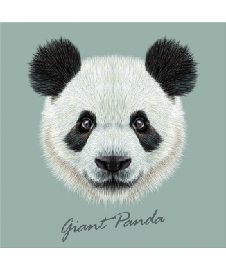 Cadre GIANT PANDA G3382 PINTDECOR