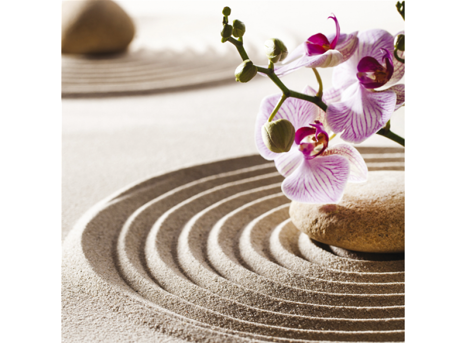 Cadre JARDIN DE LUMIÈRE G2248 PINTDECOR