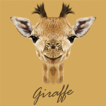 Image GIRAFE G3384 PINTDECOR