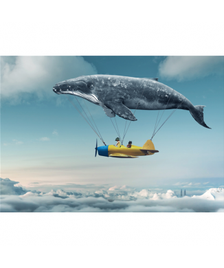 Affiche LA MER DANS LE CIEL G3362 PINTDECOR