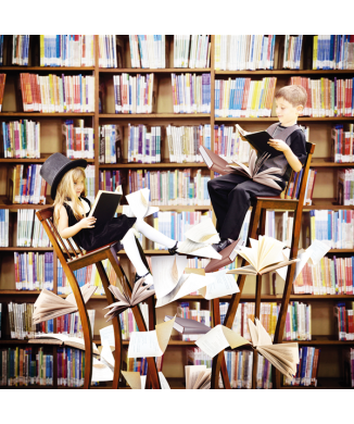 Image DANS LA BIBLIOTHÈQUE G1598 PINTDECOR