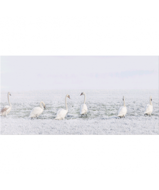 Image EN RANGÉE G5940 PINTDECOR