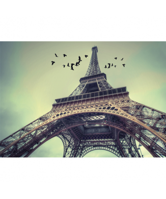 Affiche LA TOUR DE PARIS G2116 PINTDECOR