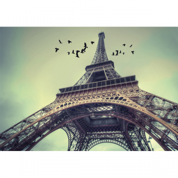 Affiche LA TOUR DE PARIS G2116 PINTDECOR