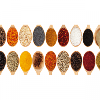 Photo EPICES A LA CUILLERE G1826 PINTDECOR