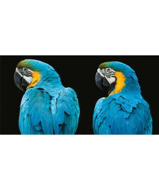 Cadre LOROS G3254 PINTDECOR
