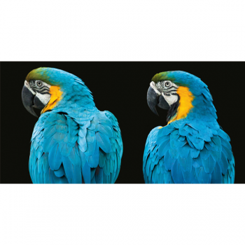 Cadre LOROS G3254 PINTDECOR
