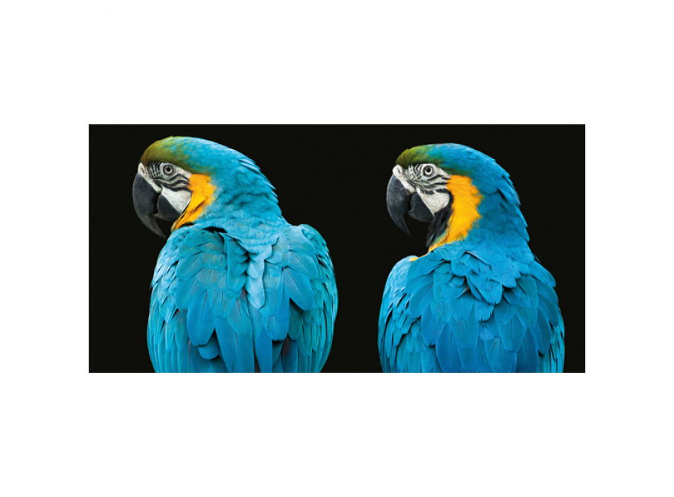Cadre LOROS G3254 PINTDECOR