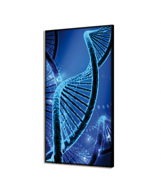 Image BRIGHT DNA GL3488 PINTDECOR
