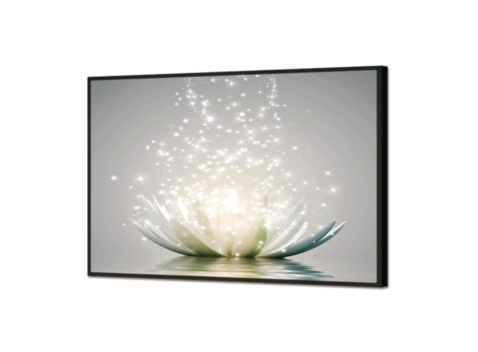 Image NUANCES BRILLANTES DE NINFEA GL3436 PINTDECOR