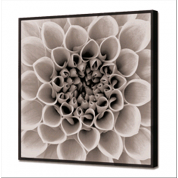 Cadre BRIGHT BLOSSOM GL3432 PINTDECOR