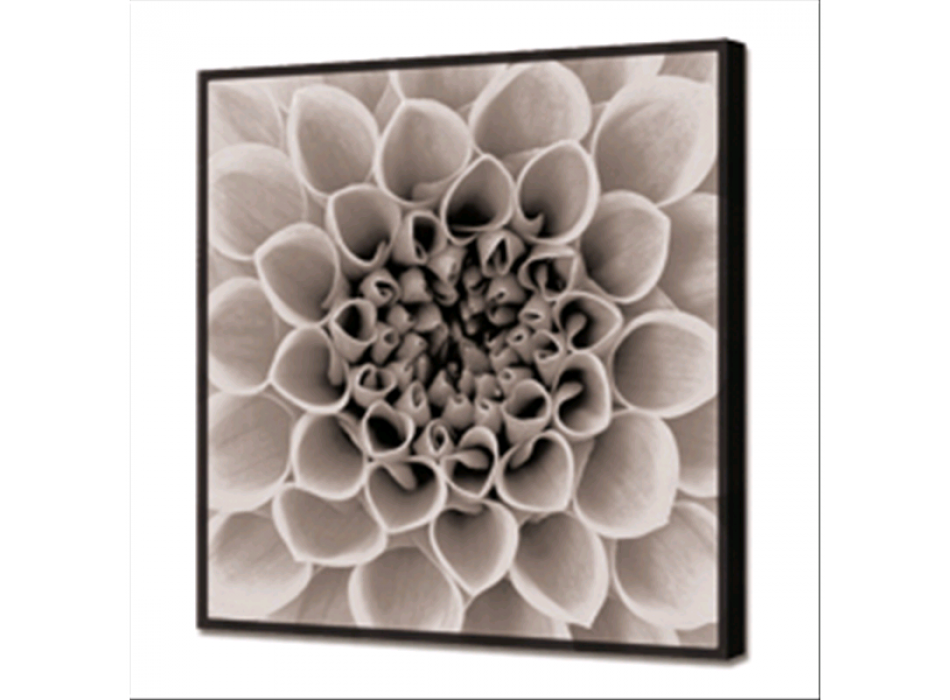 Cadre BRIGHT BLOSSOM GL3432 PINTDECOR