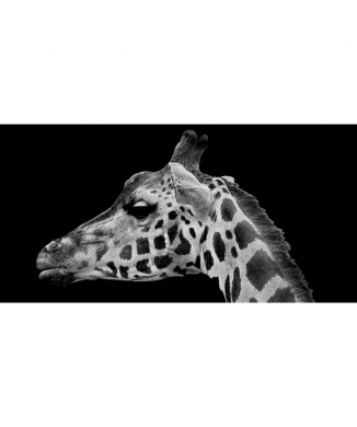 Cadre GIRAFE'S FACE G2012 PINTDECOR