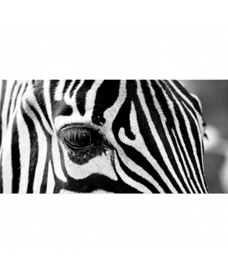 Cadre ZEBRA EYE G5948 PINTDECOR