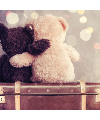 Cadre OURS ON THE GO G1604 PINTDECOR