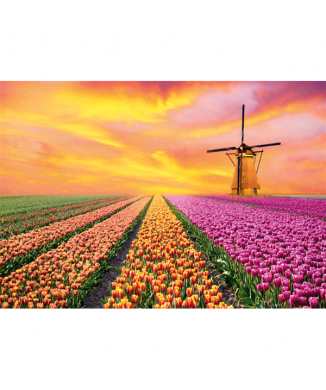 Cadre PAYSAGES HOLLAND G4130 PINTDECOR