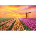 Cadre PAYSAGES PAYS-BAS G4130 PINTDECOR