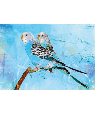 Cadre PAPPAGALLINI G5972 PINTDECOR