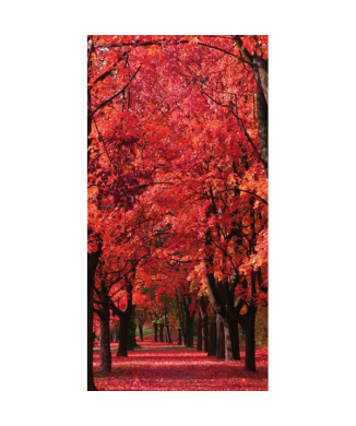 Cadre BALADE D'AUTOMNE G4122 PINTDECOR