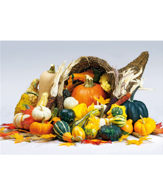 Image LUCKY G2686 PINTDECOR