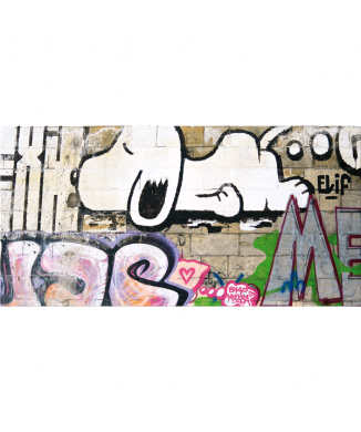 Cadre SNOOPY G5454 PINTDECOR