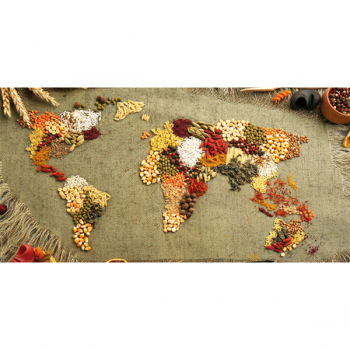 Cadre SPICES WORLD G3926 PINTDECOR