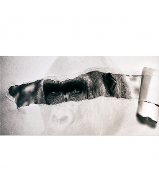 Cadre TEAR G5928 PINTDECOR