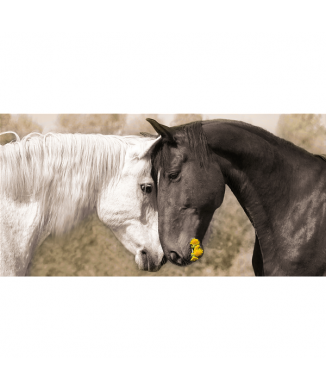 Cadre TENDRE G3306 PINTDECOR