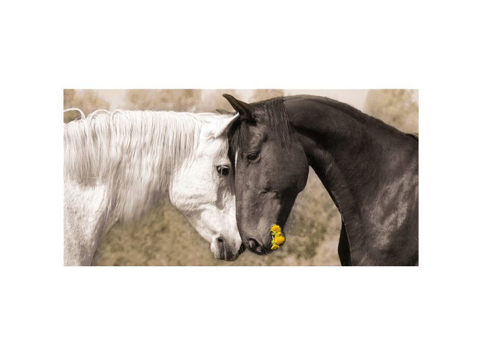 Cadre TENDRE G3306 PINTDECOR