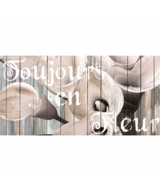 Cadre TOUJOURS EN FLEUR G4246 PINTDECOR