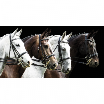 Cadre TROT G3310 PINTDECOR