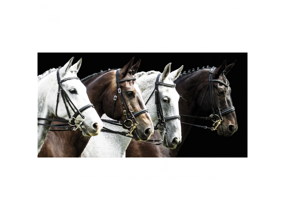 Cadre TROT G3310 PINTDECOR