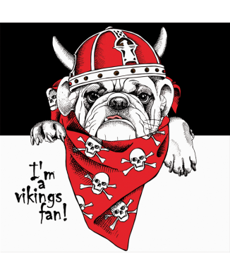 Cadre VIKINGS G3394 PINTDECOR