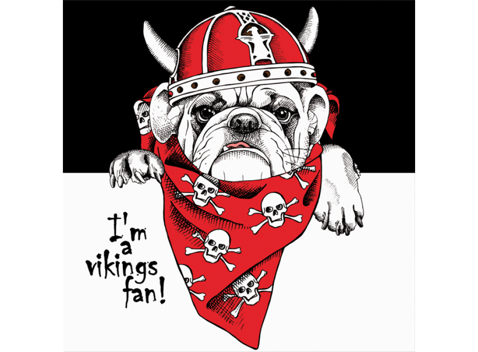 Cadre VIKINGS G3394 PINTDECOR