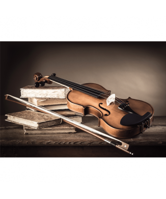 Cadre VIOLON ET ARCHET G2930 PINTDECOR