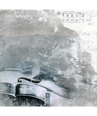 Cadre VIOLON G2958 PINTDECOR