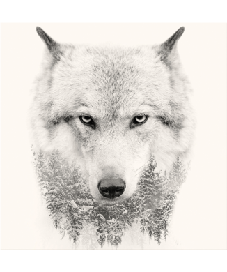 Cadre WHITE WOLF G3322 PINTDECOR