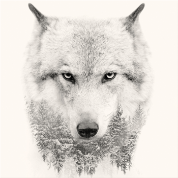 Cadre WHITE WOLF G3322 PINTDECOR