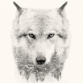 Cadre WHITE WOLF G3322 PINTDECOR