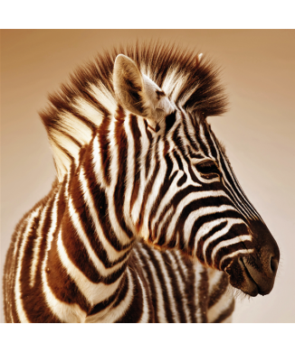 Cadre ZEBRA G2024 PINTDECOR
