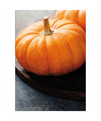 Cadre JAUNE CITROUILLE G2756 PINTDECOR