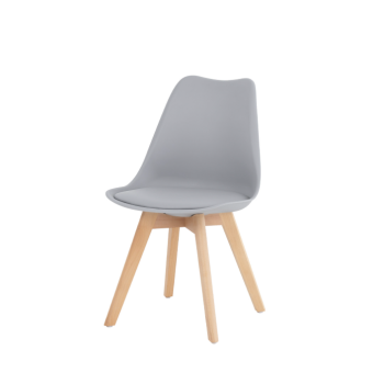 Présidente KARINA SOMCASA