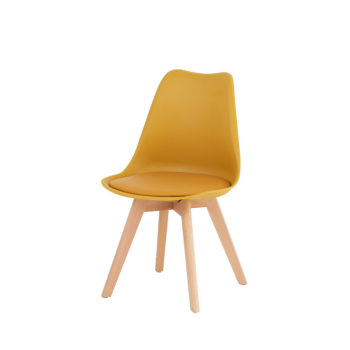 Présidente KARINA SOMCASA