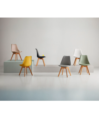 Présidente KARINA SOMCASA