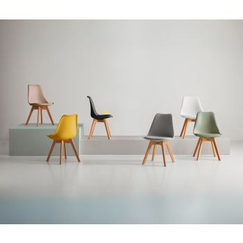 Présidente KARINA SOMCASA