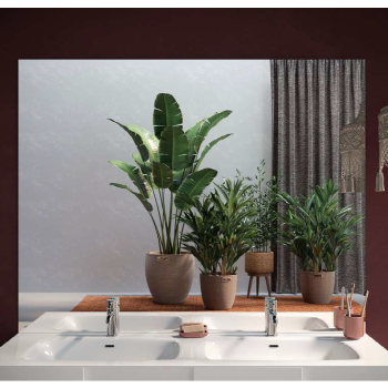 Miroir rétroéclairé